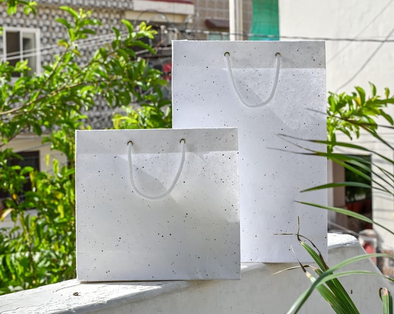 Plantable Paper